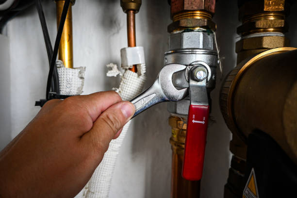 Best Clogged Drain Plumber  in Riverside, IL